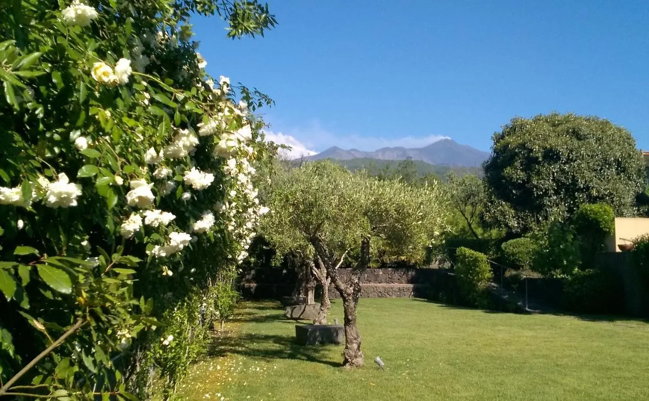Casa Vacanze Prato Verde location